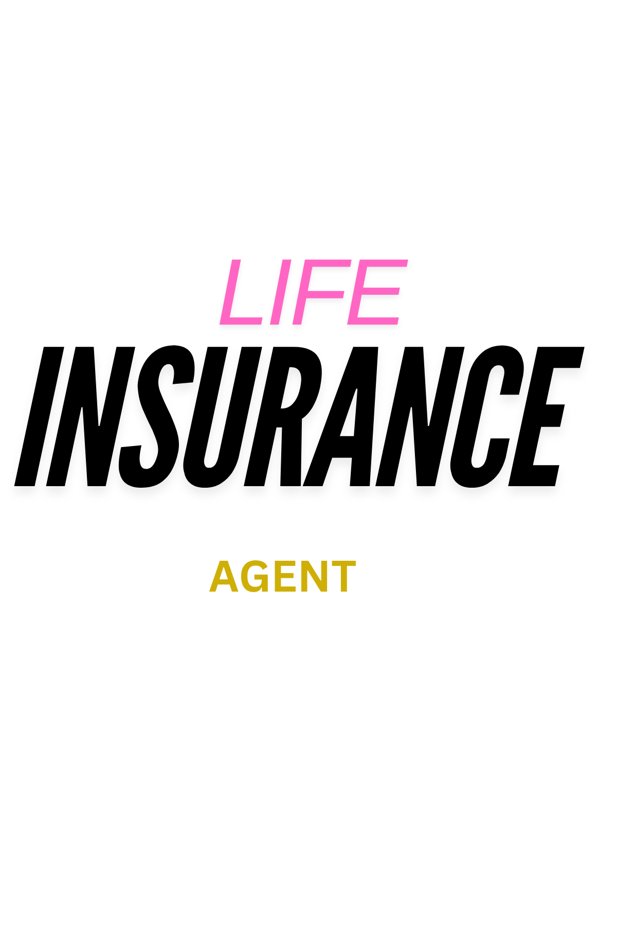 LIFE INSURANCE AGENT